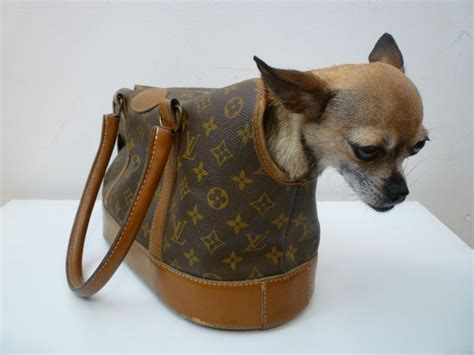 chihuahua louis vuitton|louis vuitton dog bag canvas.